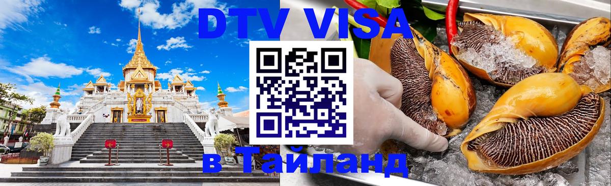 Сколько стоит DTV виза — актуальные цены, оформление даже без документов - Абу-Даби 